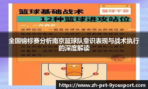 全国锦标赛分析南京篮球队意识表现与战术执行的深度解读